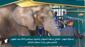 رسميًا اليوم.. افتتاح حديقة الحيوان بالجيزة سبتمبر 2025 بعد تطوير شامل ونفي زيادة أسعار التذاكر